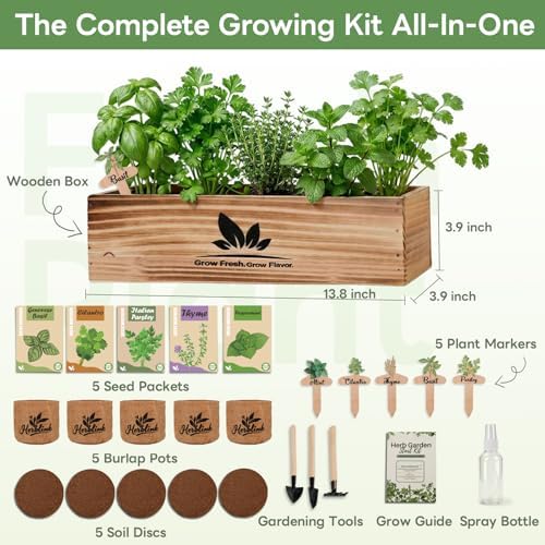 Indoor Herb Garden Starter Kit, Unique Gifts 5 Herb Garden Planter Indoor Kit with Wooden Box Including Basil, Cilantro, Thyme, Parsley, Mint, Fresh Herb Garden, Gardening Gifts for Women - Image 2