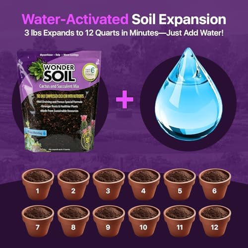 WONDER SOIL | Organic Cactus & Succulent Soil Mix (12 Quarts) | Fast Draining Living Coco Coir Loaded w/Nutrients | Ready to Plant Indoor/Outdoor Peat-Free Potting Soil | 3 LB Expands to 12 Quarts - Image 3
