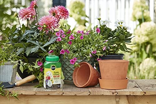Miracle-Gro Shake 'N Feed Rose & Bloom Plant Food, 4.5 lb - Image 5