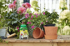 Miracle-Gro Shake 'N Feed Rose & Bloom Plant Food, 4.5 lb - Image 5