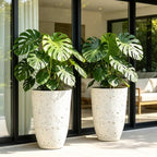 19.5" Tall Resin Planters Set of 2, Faux Birch Bark, White - Image 4