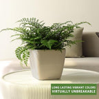 Dexceder 11x10 Self Watering Planter (Taupe Matte) - Image 6