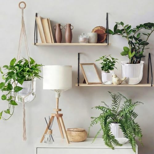 Hanging Planter Set of 6 Self Watering Indoor Flower Pots with Water Level Indicator Modern Plant Hangers for Indoor Garden Decor Balcony Apartment Boho Home Decoration Easy Care(White) - Image 4