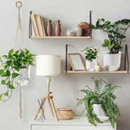 Hanging Planter Set of 6 Self Watering Indoor Flower Pots with Water Level Indicator Modern Plant Hangers for Indoor Garden Decor Balcony Apartment Boho Home Decoration Easy Care(White) - Image 4