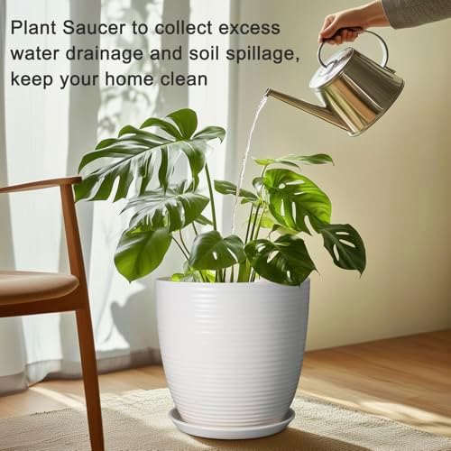 Plant Water Catcher Trays - Ceramic Plant Saucers 12 Inch Plant Trays for Indoors No Holes Plant Drip Trays Drainage Decorative Flower Pot Saucers Large Plant Dishes 2 Pack White - Image 4