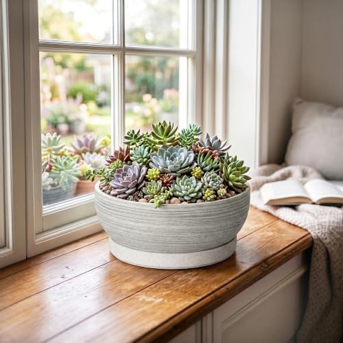 Ceramic Bonsai Planter, 8 Inch Succulent Pot with Tray, Brushed Grey - Image 4