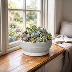 Ceramic Bonsai Planter, 8 Inch Succulent Pot with Tray, Brushed Grey - Image 4