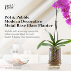 Pot & Pebble C9 Glass Propagation Station, Metal Base - LECA Orchid Vase - Image 3