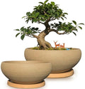 MUZHI 2 Pack 8+6 Inch Plant Pot - Natural Unglazed Ceramic Bonsai Pot with Bamboo Saucer, Large Vintage Clay Shallow Planter Pot with Drainage Hole by MUZHI