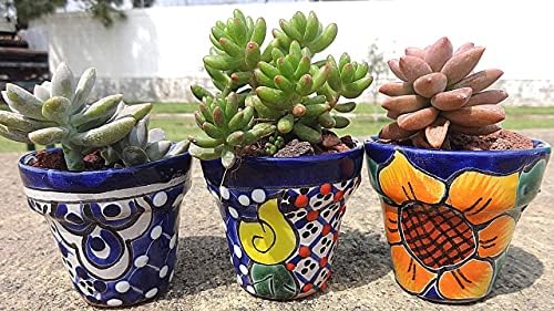 Talavera Hand-Painted Flower Pots (Set of 3) - 3" Garden Party Design - Authentic Mexican Pottery Planters for Succulents - Image 5