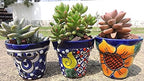 Talavera Hand-Painted Flower Pots (Set of 3) - 3" Garden Party Design - Authentic Mexican Pottery Planters for Succulents - Image 5