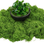 Fake Moss 2.5 lb Bulk, Artificial Moss for Crafts and Planters by Bitlongate