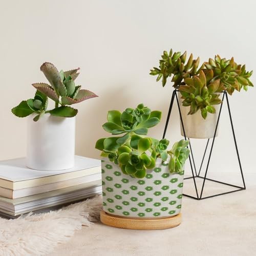 Timur in Blue Background Ceramic Planter Geometric Modern Planters for Indoor Plants with Drainage Holes and Saucers Pot for Pots Outdoor Indoor Plants - Image 4