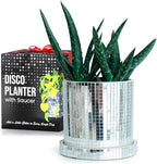 SCANDINORDICA Disco Ball Planter Pot, 4.3-inch Silver Ceramic by SCANDINORDICA