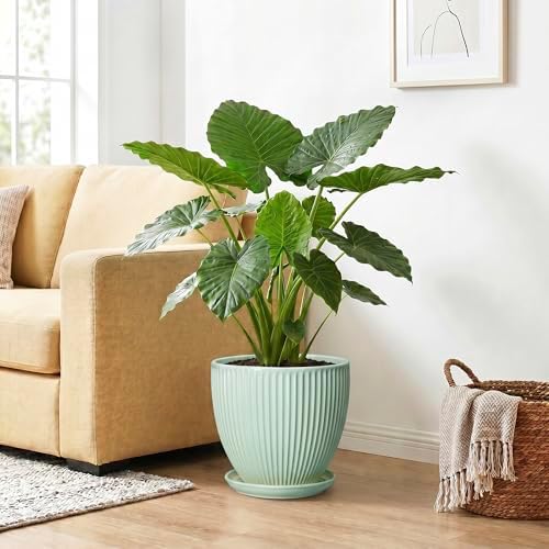 10 Inch Planter Indoor, Ceramic Pots with Saucer, Mint Green - Image 4