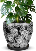 Ceramic Plant Pots With Saucer & Drainage Hole, 6 inch Indoor Flower Pots by Xoogifae