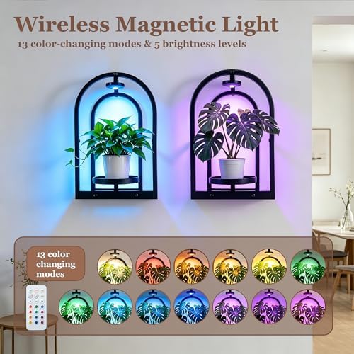 Hyindoor Wall Plant Holder with Grow Light & Remote Control, Wall planters for indoor plants, Wall Mounted Hanging Planter, Plant Wall Shelf Frame for Living Room, 2 Pack - Image 2