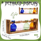 Plant Propagation Stations Halloween Skull Plant Terrarium Kit - Image 4