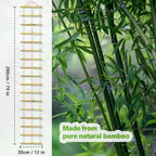 Natural Bamboo Ladder Plant Trellis 79 in L x 12 in D Ideal for Climbing Plants, Providing Reliable Support Suitable for Outdoor Walls, Gardens, patios, and Similar (2, S) - Image 4