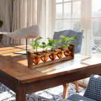 Plant Terrarium Hanging Propagation Stations Gift for Women - Image 5