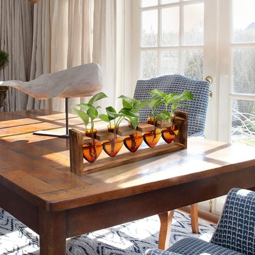 Plant Terrarium Hanging Propagation Stations Gift for Women - Image 5