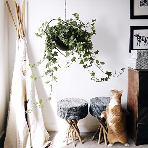 Hajia 1 Pack Heart Shaped Hanging Plant Holder with 7.5inch Detachable Pot, Black Metal Modern Hanging Planter for Indoor Outdoor, Minimalist Wall Ceiling Plant Hanger for Home Wedding Decor - Image 3