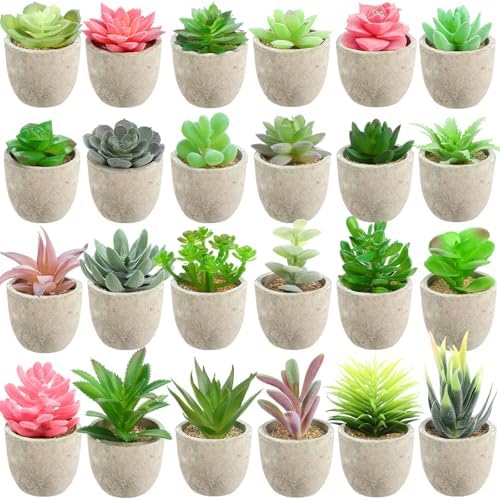 24 Pack Assorted Artificial Succulents in Retro Pulp Pots Bulk Fake Succulent Plants with Vintage Stone-Like Paper Pulp Pots Variety Set for Home, Office & Desk Decor (Various Style) by Unknown