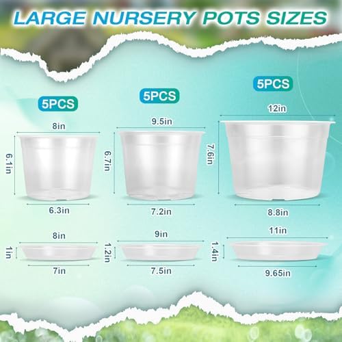 8/10/12 Inch Clear Nursery Pots with Drainage and Sacuers, 15 Pack Plastic Pots for Plants Indoor Outdoor, Variety Large Clear Pots for Flowers, Succulents (8/10/12inx5pcs) - Image 2