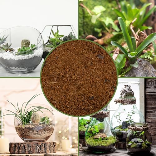Soil Sunrise Terrarium Potting Soil Mix (8 Quarts) w/Blended Filtering Charcoal Custom Made for Terrariums - Image 6