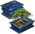 Villa Como Set of 2 Bonsai Pots with Drainage Tray, 7.5" Bonsai Planters by VillaComo