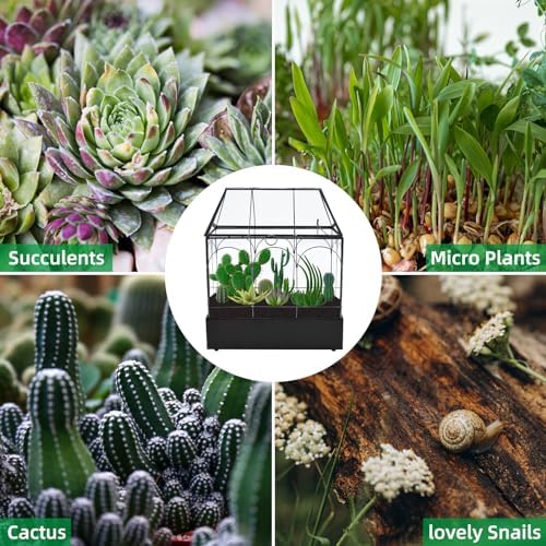Glass Terrarium with Metal Tray, Glass Greenhouse Terrarium Kit - Image 6
