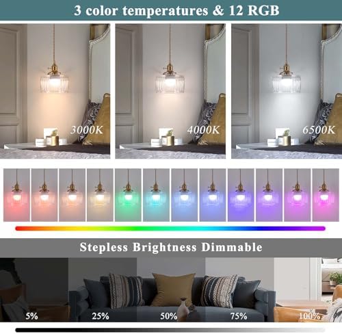 Battery Operated Pendant Light,Vintage Light Fixtures 2500mAh 6.6in RGB Light Bulb with Remote Control Wireless Adjustable Rechargeable Chandelier for Kitchen Island Hallway 1Light - Image 3