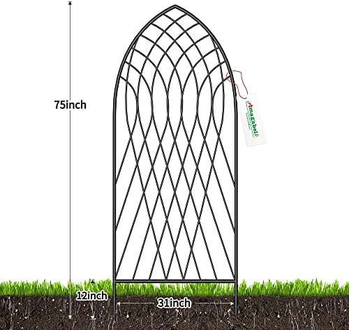 Amagabeli 2 Pack Large Garden Trellis for Climbing Plants 75” x 31” Heavy Duty Rustproof Black Iron Plant Trellis for Potted Plants Support Tall Wall Metal Trellis for Rose Vegetables Cucumber GT05 - Image 2