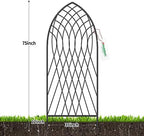 Amagabeli 2 Pack Large Garden Trellis for Climbing Plants 75” x 31” Heavy Duty Rustproof Black Iron Plant Trellis for Potted Plants Support Tall Wall Metal Trellis for Rose Vegetables Cucumber GT05 - Image 2