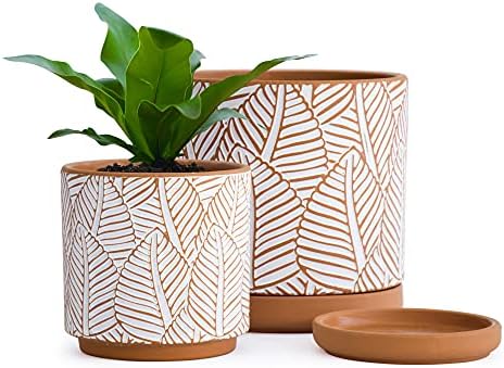 D'vine Dev Set of 2 Terracotta Pots, Broadleaf Pattern Planter, 31-958-H-1 by DvineDevPlanterPotsandStand