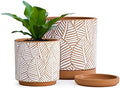 D'vine Dev Set of 2 Terracotta Pots, Broadleaf Pattern Planter, 31-958-H-1 by DvineDevPlanterPotsandStand