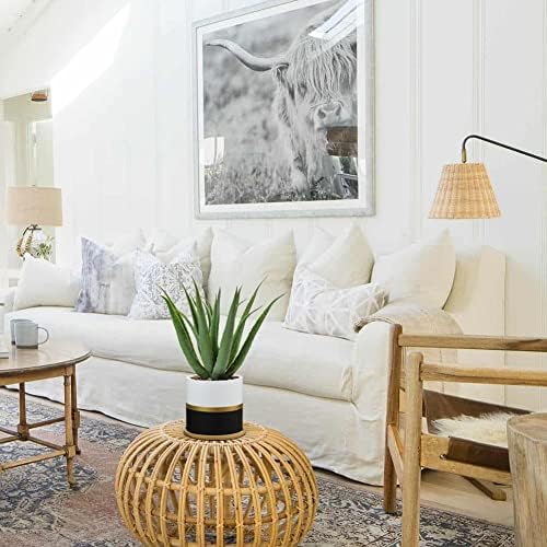 Briful Succulents Artificial Plants Fake Aloe Vera Plants in Gold and Black Pot Farmhouse Faux Agave Plant for Home Office Desk Bathroom Shelf Decorations - Image 4
