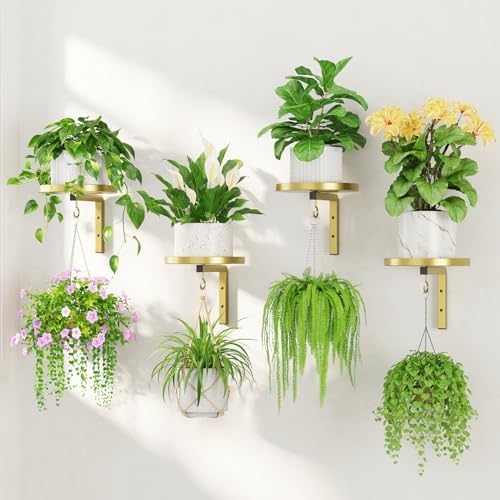 LASZOLA 4Pcs Wall Mount Plant Shelves with Hangers for Indoor Planters, Heavy Duty Metal Window Floating Flower Holders Stand for Kitchen Bathroom, Classic Gold by LASZOLA
