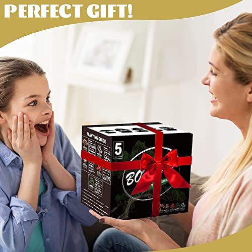 Meekear 5 Bonsai Tree Kit Complete Plant Growing Tools, Grow in Pot Indoor Bonsai Tree Starter Kit, Great Home Gardening Potted Plants DIY Gift for Adults - Image 7