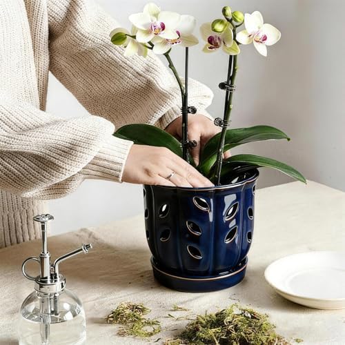 FoldTier 2 Pack 6.5 '' Ceramic Orchid Pot with Drainage Holes and Saucer - Image 4