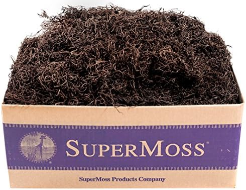 SuperMoss (27016) Spanish Moss Preserved, Coffee, 3lbs by SuperMoss