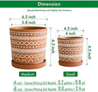 D'vine Dev 2-Pack Terracotta Pots, 4/6 in, Terra//White, 31-958-D-1 - Image 3