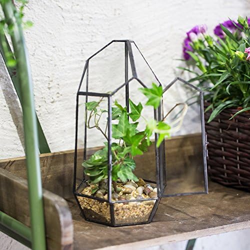 NCYP Small 5.1" x 5.1" x 8.66" Irregular Geometric Glass Terrarium Planter with Door - Home Tabletop Display Container Pot for Moss, Fern - Indoor Clear Decor, Black (No Plants) - Image 6