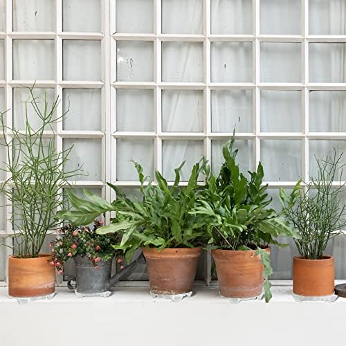 Panelee 6 Pcs Plant Pot Stand Riser 12 inch Plastic Under Plant Stand Adjustable Cuttable Prevent Water Damage for Outdoor Indoor Pot Holder Garden Patio(White) - Image 5