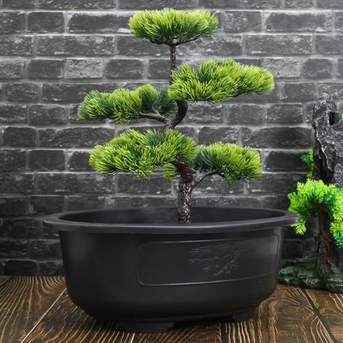 DOITOOL 2 Pcs Large Bonsai Pots 15 Inch Plastic Oval Training Planter with Drainage Holes Deep Tree Bowl for Succulent Nursery - Image 5
