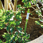 IPPINKA Sustee Aquameter, Bundle of 12, House Plant Soil Moisture Meter, Best for Indoor Potted Plants - Large Green Refillable - Image 7