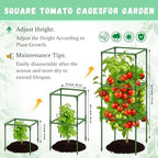 Riare 6 Pack 45in Square Tomato Cages for Garden, Heavy Duty Tomato Trellis - Image 2