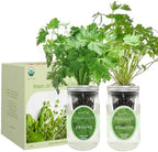 2-Pack Hydroponic Mason Jar Herb Garden Kit, Indoor Herb Garden Self-Watering Starter Kit (Parsley,Cilantro) - Image 2