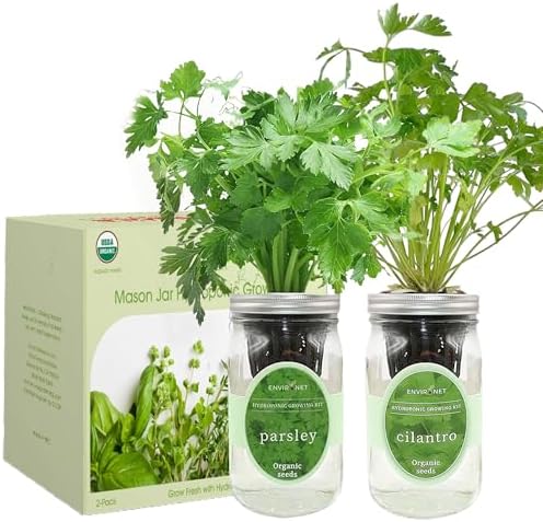 2-Pack Hydroponic Mason Jar Herb Garden Kit, Indoor Herb Garden Self-Watering Starter Kit (Parsley,Cilantro) - Image 2