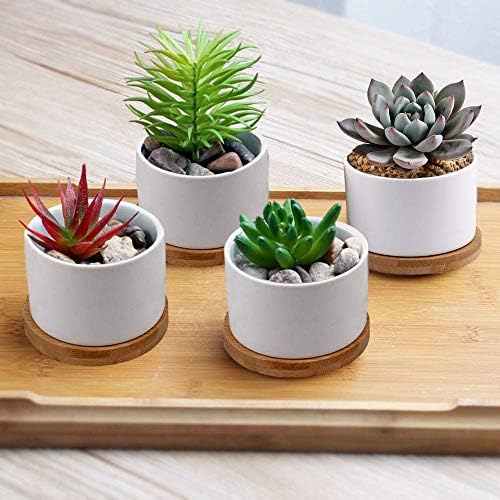 ZOUTOG Succulent Pots, White Mini 3.15 inch Ceramic Flower Planter Pot with Bamboo Tray, 6 inch Ceramic Planters for Indoor Plants, Plants Not Included - Image 4